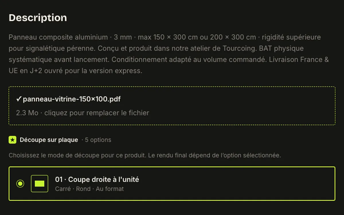 Drop zone showing a chosen PDF file name and its size of 2.3 MB