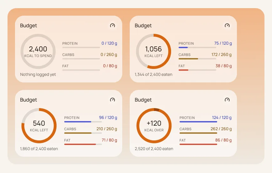 Budget card component in four states: empty, before, after and over